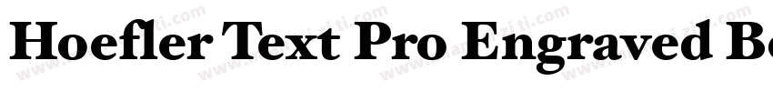 Hoefler Text Pro Engraved Bold字体转换